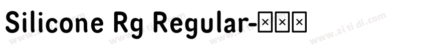 Silicone Rg Regular字体转换